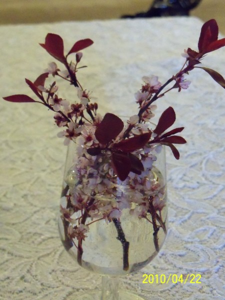 100_0388 [800x600].JPG